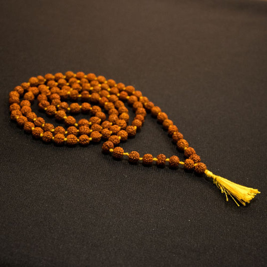 Brown Rudraksha Mala - 108+1 Beads